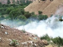 Bahçesaray'da Makilik Alanda Yangın