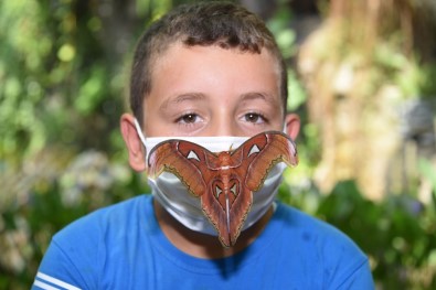 Dünyanın En Büyük Kelebeği 'Atlas' Konya Tropikal Kelebek Bahçesi'nde