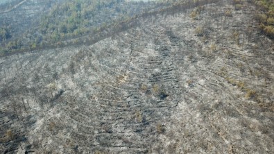 Hatay'daki Yangında Zarar Gören Orman Alanları Drone İle Görüntülendi