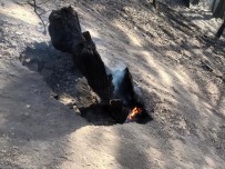 Nallıhan'daki Yangından Geriye Kalan Görüntüler Yürekleri Burktu Haberi