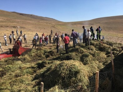 Özalp'ta Bin 200 Bağ Ot Yandı