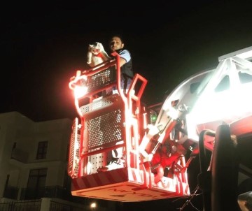 Ağaçta Mahsur Kalan Kediyi İtfaiye Kurtardı