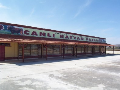 Devrekani Hayvan Pazarı 2 Hafta Kapatıldı