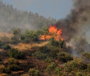 Kahramanmaraş'ta 1 Hektar Orman Alanı Yandı