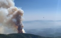 Hatay'daki Orman Yangını Drone İle Görüntülendi