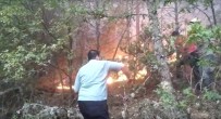 Kütahya'daki Orman Yangınında 3 Hektarlık Alan Yandı Haberi