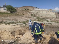 Saray'da Samanlık Yangını