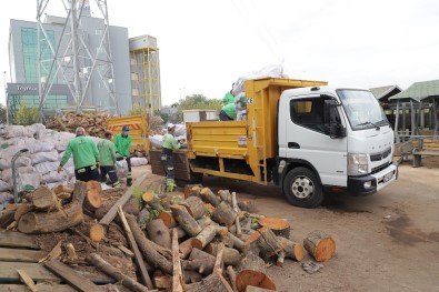 Şehitkamil'de Budanan Ağaçlar Yakacak Oluyor