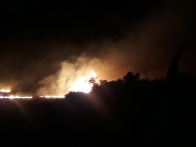 Antalya'da Kırsal Alan Yangını
