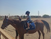 At Çiftliğine Çocuklardan Yoğun İlgi Haberi