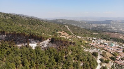 Ateş Savaşçılarının Çabası Bir Mahalleyi Kül Olmaktan Kurtardı