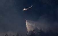 Bursa'daki Orman Yangını Kontrol Altına Alındı