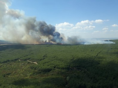 Gelibolu'da Orman Yangını