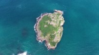 Ordu'nun Kuş Cenneti Açıklaması 'Hoynat Adası' Haberi