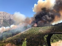 Pozantı'da Orman Yangını Haberi