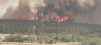 Tekirdağ'da Orman Yangını Açıklaması Rüzgarın Etkisiyle Yangın Çanakkale'ye Sıçradı Haberi