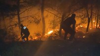 Hatay'da Havai Fişek Ormanda Yangına Neden Oldu