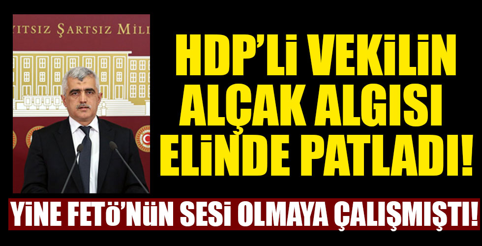 HDP’li Gergerlioğlu’nun algısı yine çöktü!
