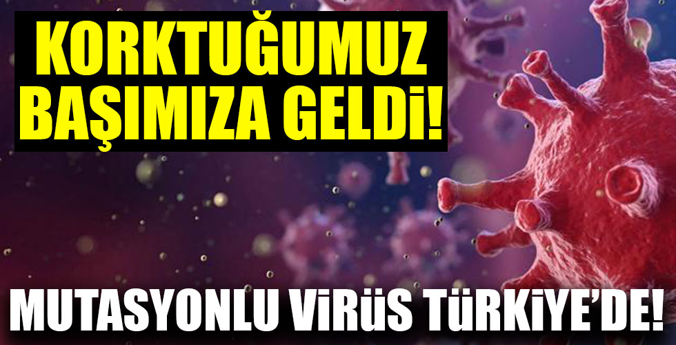 beyazgazete com