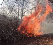 Ordu'da Ormanlık Alanda Çıkan Yangın Paniğe Neden Oldu Haberi