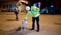 Polisin Köpeğe Şefkati Yürekleri Isıttı Haberi