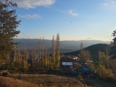 Simav'da Bir Köy Karantinaya Alındı