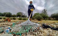 Didim'de Sahil Temizliği Yapıldı, 1 Ton Çöp Toplandı Haberi