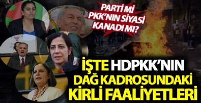 HDP’lilerin dağ kadrosundaki kirli faaliyetleri ortaya çıktı!