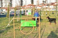 Mamak Belediyesinden 'Köpek Parkı'