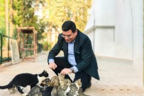 Kepez'de Hayvan Hastanesi Açılacak