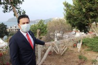 Bodrum'da Şehit Pilot Anısına Dikilen Ağaçları Kestiler