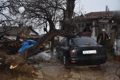 Fırtınaya Dayanmayan Ağaç Aracın Üstüne Devrildi