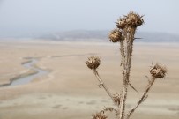 Manisa Son 13 Yılın En Kurak Mevsimini Yaşıyor Haberi