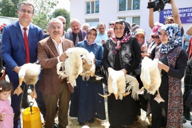 Ordu, Kırsal Kalkınmanın Başkenti Oluyor