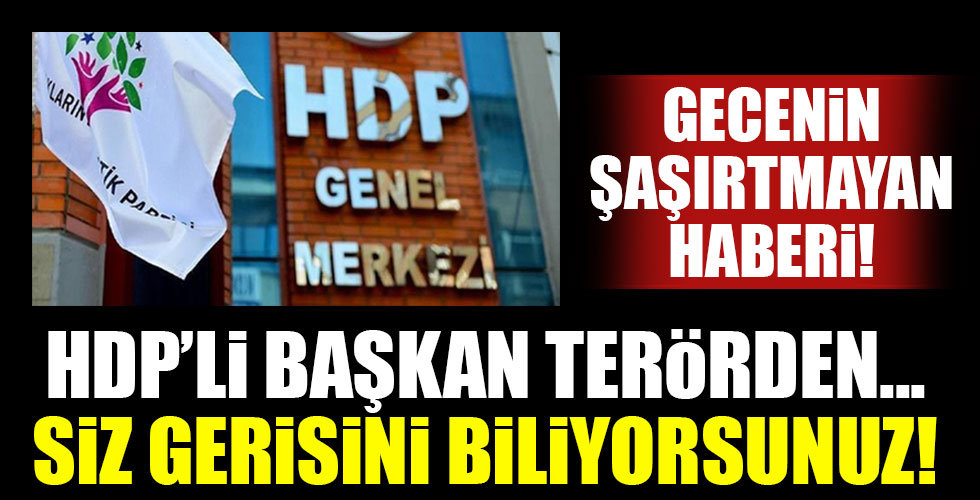 HDP'li başkan terörden hapis!
