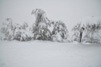 Ankara'da Kar Kartpostallık Görüntüler Oluşturdu