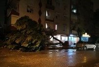 Antalya'da Hortum Ağaçları Kökünden Söktü, Çatıları Uçurdu