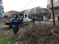 Darıca'da Mevsimsel Ağaç Budama Çalışmaları Devam Ediyor Haberi