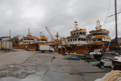 Sinoplu Balıkçılar Hamsi Ağından İstavrit Ağına Geçiyor