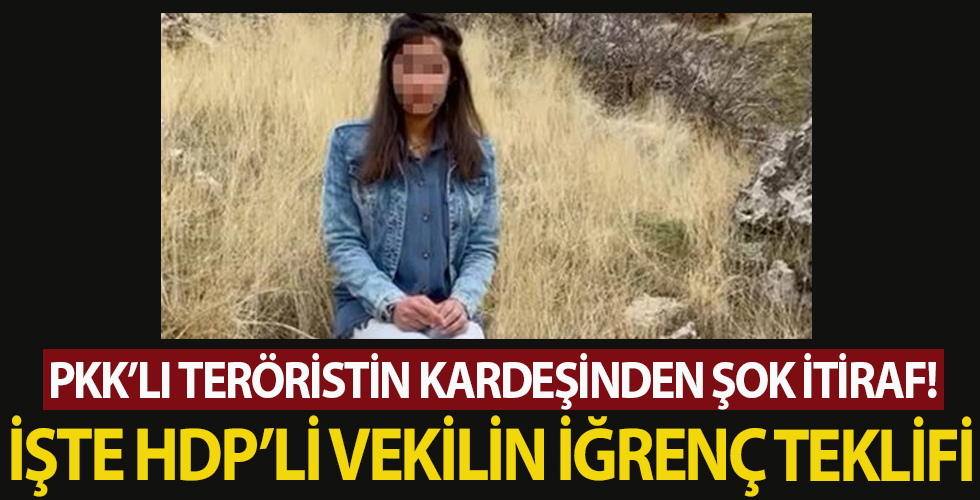 15 yaşındaki kız, HDP'li vekilin rezil teklifini açıkladı