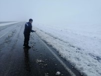 Jandarma Ekipleri Karla Kaplı Arazide Kuşlara Yem Bıraktılar Haberi