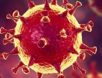 Koronavirüste yeni mutasyon!