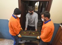 Muratpaşa Belediyesi'nden Saksıda Marul,Maydonoz Ve Fesleğen Dağıtımı