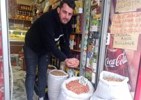 Siirt'te Fıstık Fiyatı Yüzde 50 Düştü Haberi