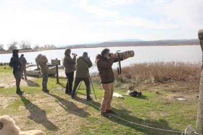 Kırklareli'nde 'Kış Ortası Su Kuşu Sayımları' Yapıldı