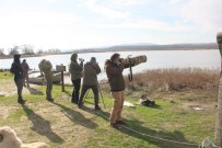 Kırklareli'nde 'Kış Ortası Su Kuşu Sayımları' Yapıldı Haberi