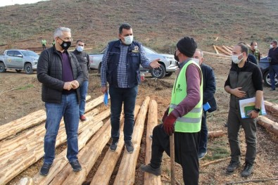 Kozan'da Yanan Orman Alanları Devlet Eli İle Yeşerecek