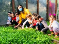 Mezitli'deki Çocuklar Yetiştirdikleri Ürünlerin İlk Hasadını Yaptı Haberi