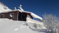 Tunceli'de Kar 144 Köy Yolunu Ulaşıma Kapattı Haberi