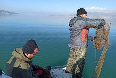 Türkiye'de Kerevit Üretiminin Yüzde 80'İ Eğirdir Gölü'nden Karşılanıyor
